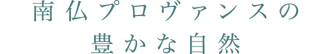 南仏プロヴァンスの豊かな自然