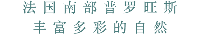 法国南部普罗旺斯丰富多彩的自然