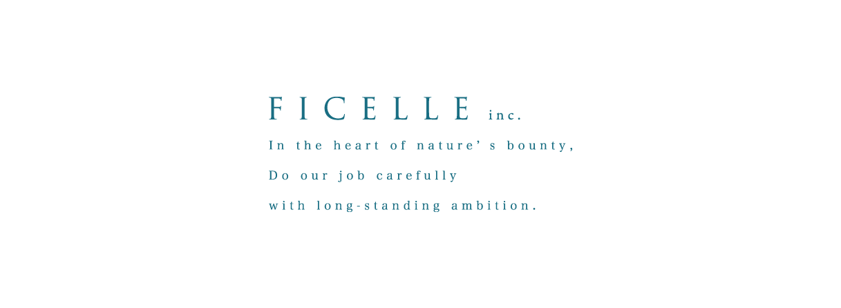 FICELLE inc. 豊かな自然の中 まっすぐに、ていねいに、想い育む