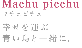 Machu picchu:マチュピチュ 幸せを運ぶ青い鳥と一緒に。