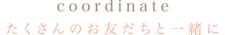 coordinate たくさんのお友だちと一緒に