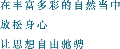 在丰富多彩的自然当中 放松身心 让思想自由驰骋